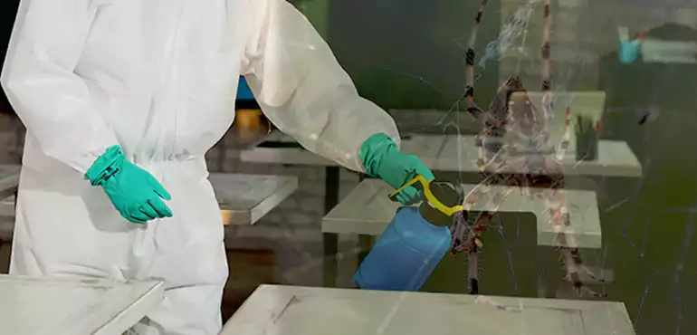 Why Buyers Still Want Homes With Pest Infestations in Hampton, VA?