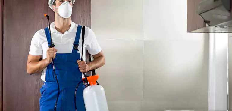 Why Hampton Homeowners Choose Us When Pests Make Selling Difficult